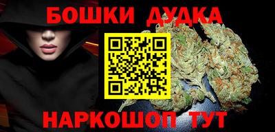 индика Будённовск