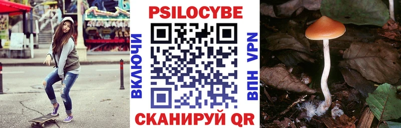 как найти закладки  Грозный  Псилоцибиновые грибы мухоморы 