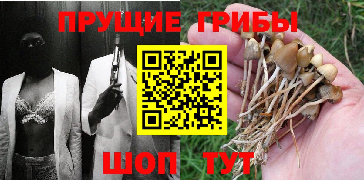 Грозный  Галлюциногенные грибы мицелий  Вход с VPN  Галлюциногенные грибы Magic Shrooms 